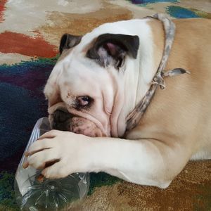 Meet your Posher, Marycarol